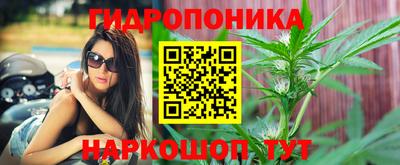 трава Кинель