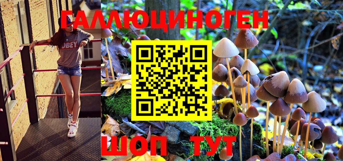 Галлюциногенные грибы MAGIC MUSHROOMS  Псилоцибиновые грибы прущие грибы  Вход с VPN  Дальнегорск 